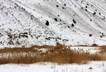 گزارش تصویری از یک روز برفی در شاهرود